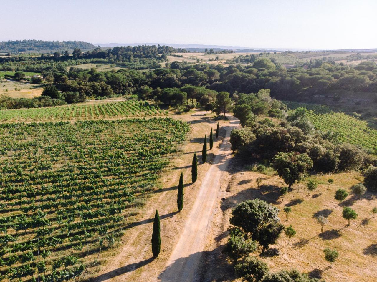 Domaine De Cazaban Apartman Villegailhenc Kültér fotó